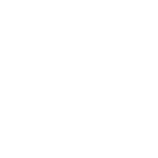 Logo V Project